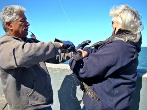 Fisherman clips barb from bird's beak as a woman holds it