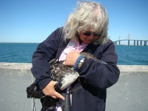 Woman cradling injured loon